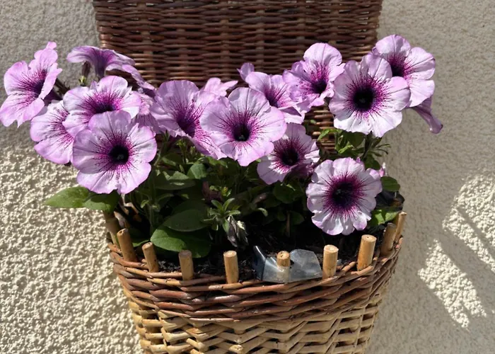 Semesterbostad La Borie *